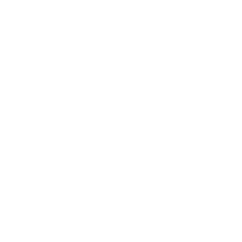DJN Jan De Nul