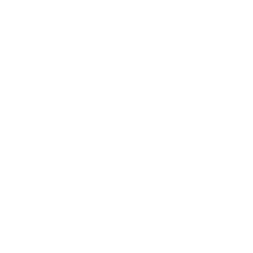 Zorgpunt waasland