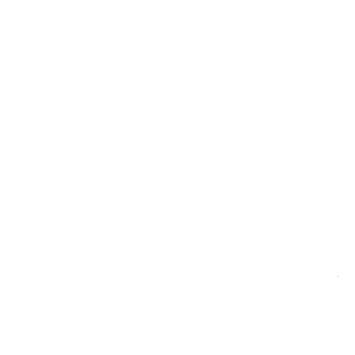 careion format carre